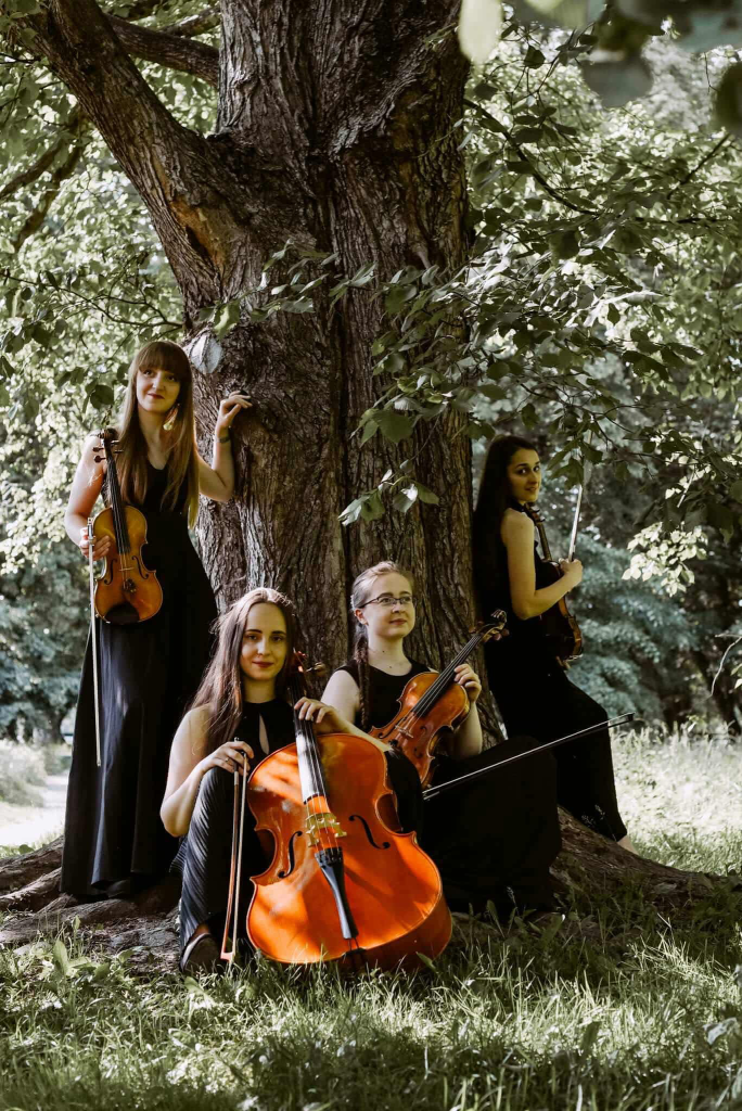 5E50019D-9280-4BB3-B094-4C4594A70A72